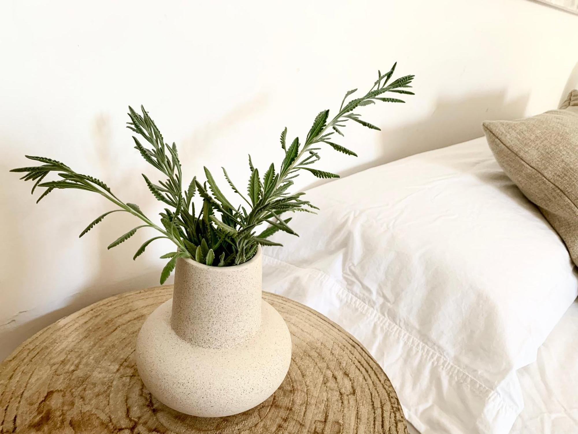 La Pau Apartaments มอลเลรูซา ภายนอก รูปภาพ